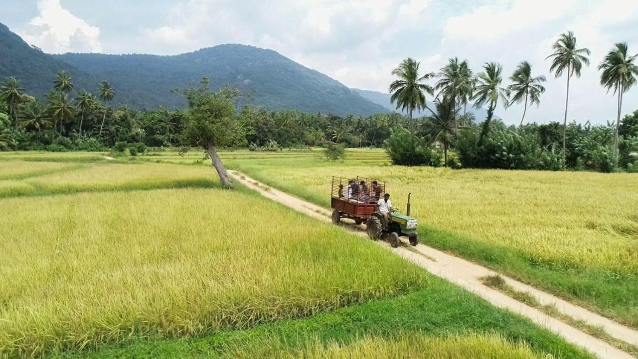 Villa Coconut Escapes à Kurunegala Extérieur photo