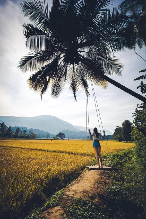 Villa Coconut Escapes à Kurunegala Extérieur photo